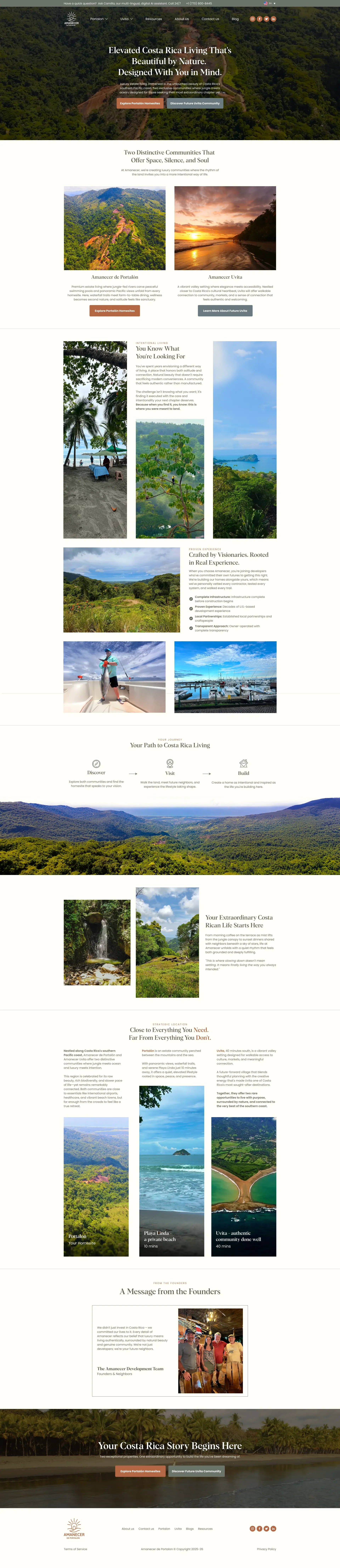 Amecener website design